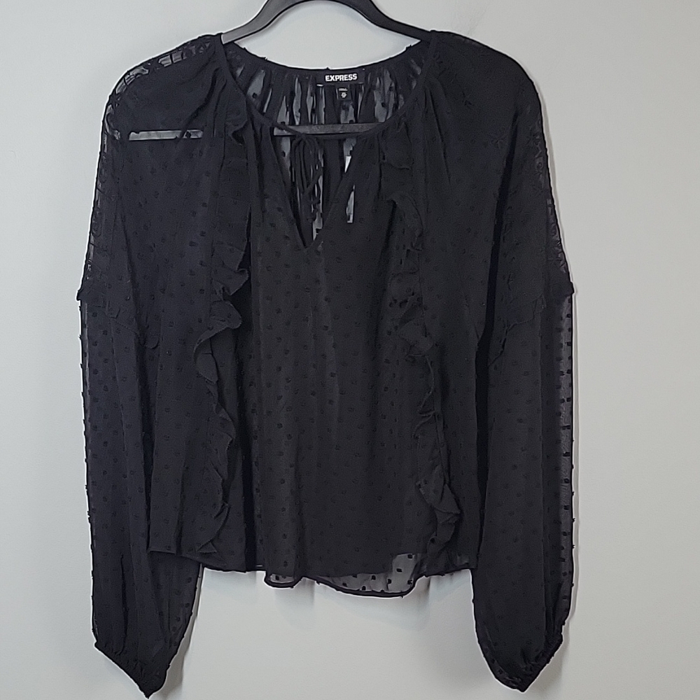Express sheer ruffles swiss top blouse long sleeves size xs